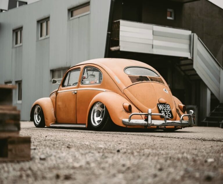 Lio' Beetle