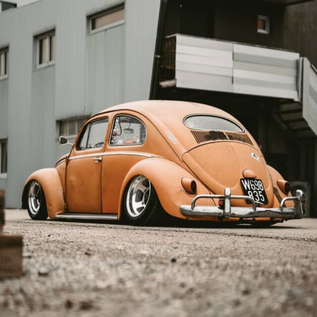 Lio' Beetle