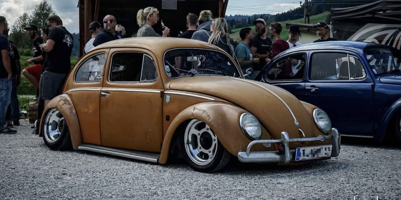Lio' Beetle