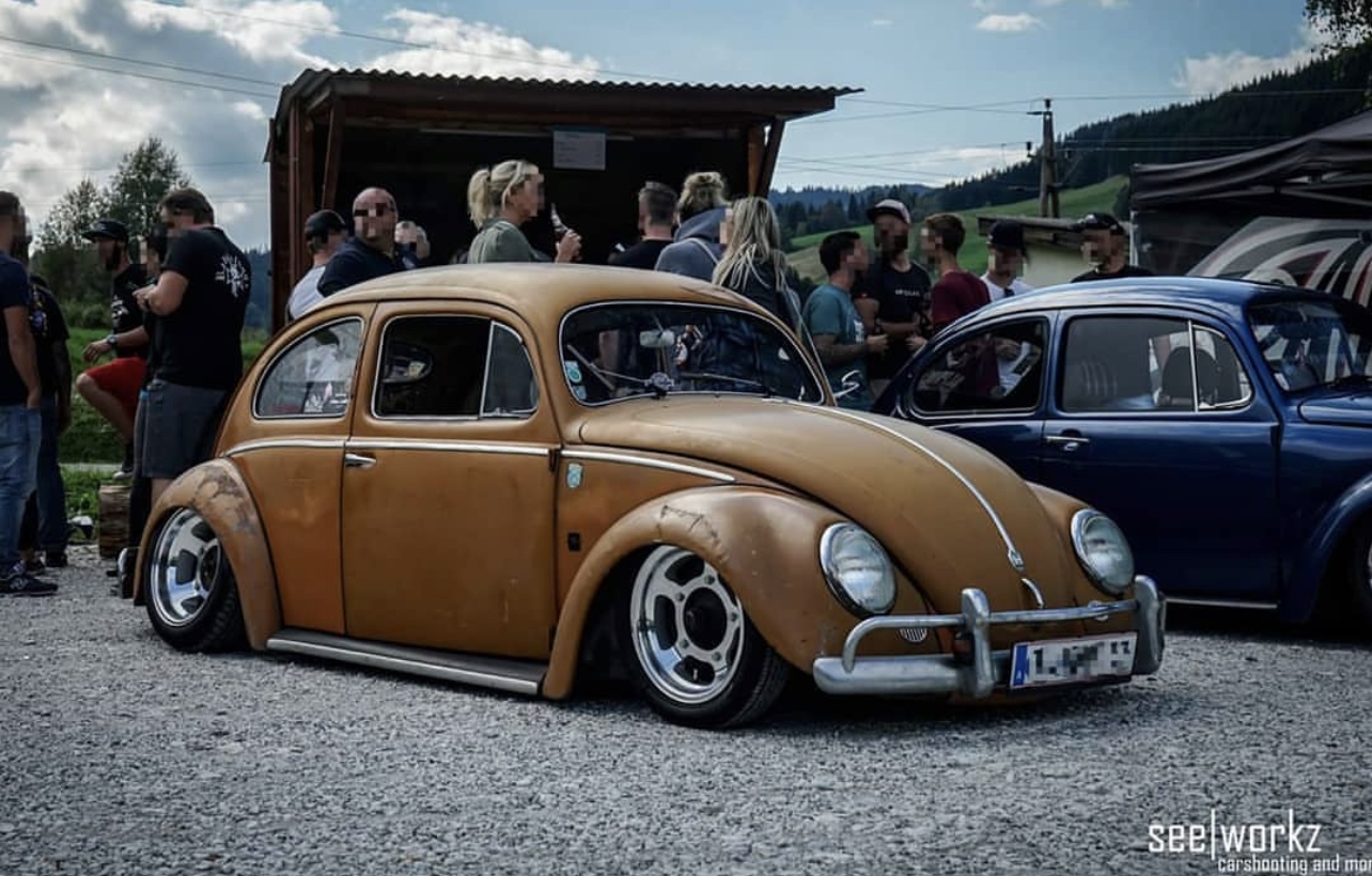 Lio' Beetle