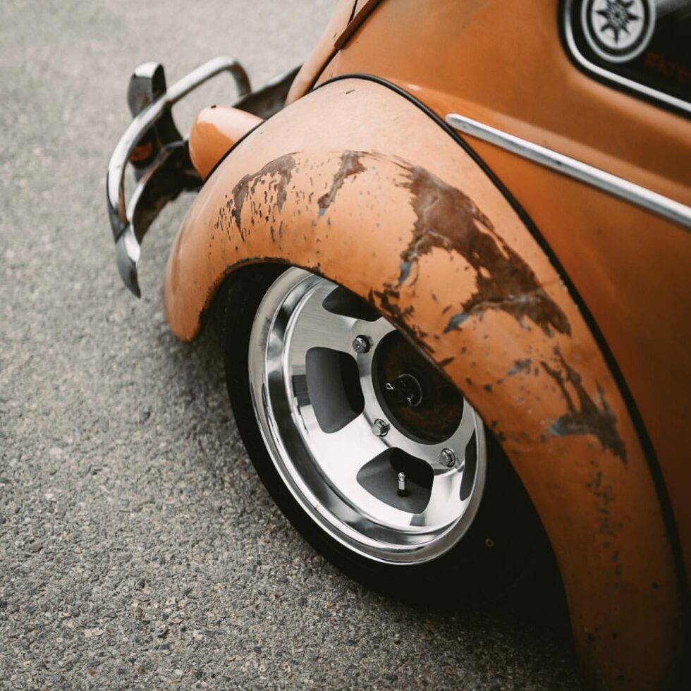 Lio' Beetle