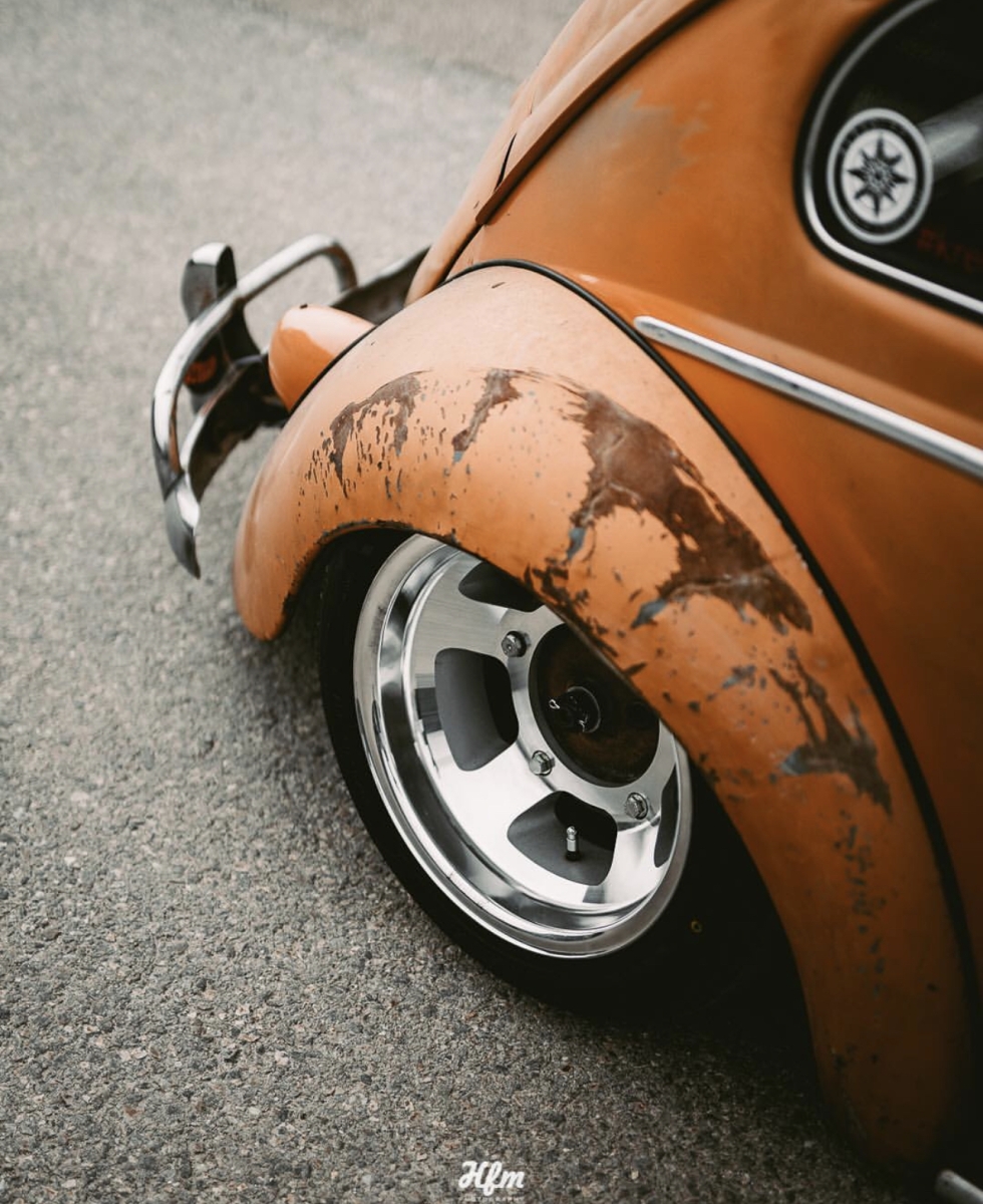 Lio' Beetle