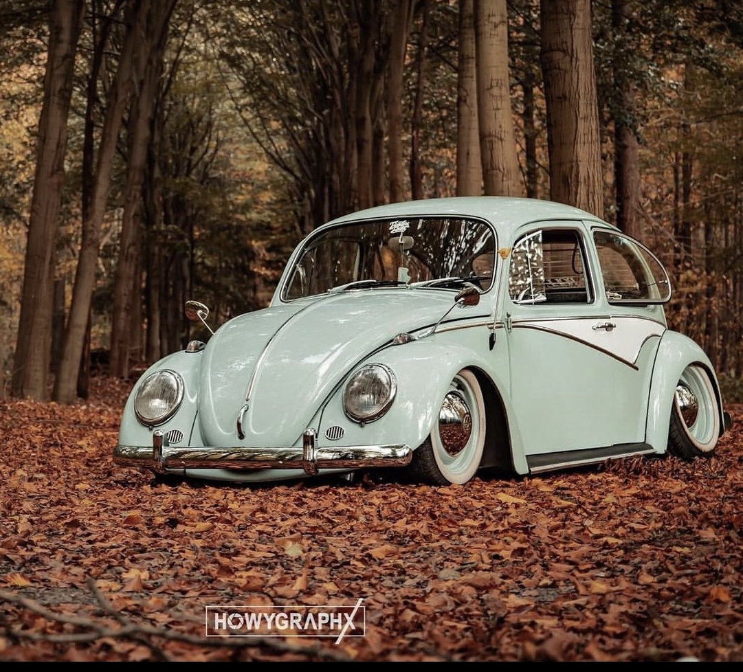 Nick B' 1958 Beetle