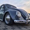 Cedric S' Beetle
