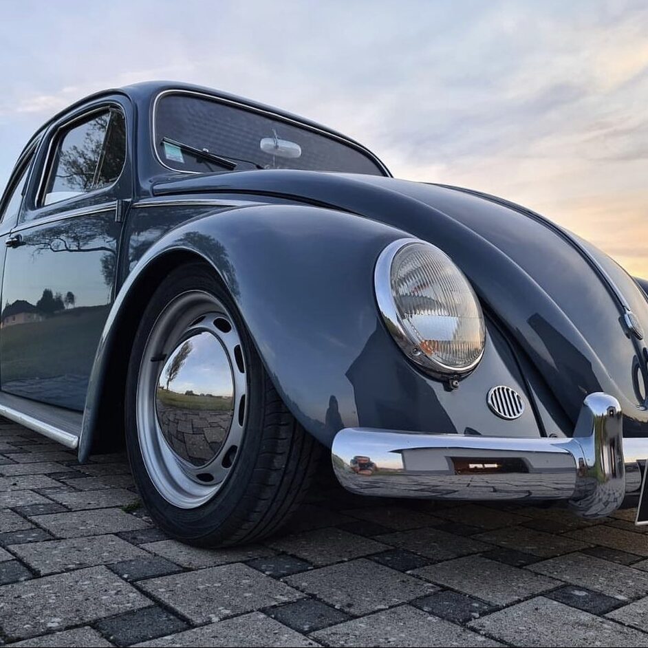Cedric S' Beetle