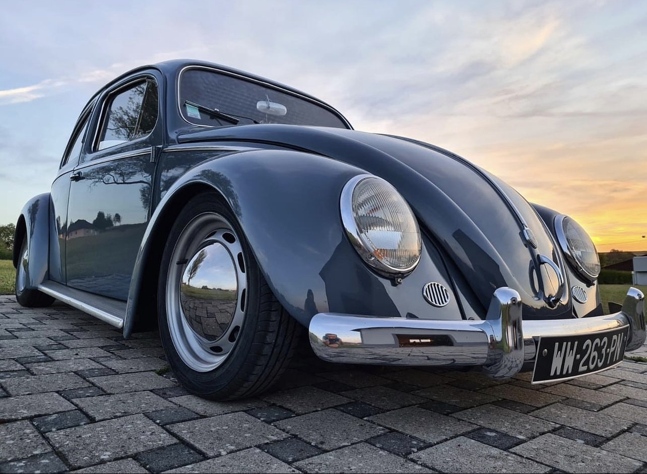 Cedric S' Beetle