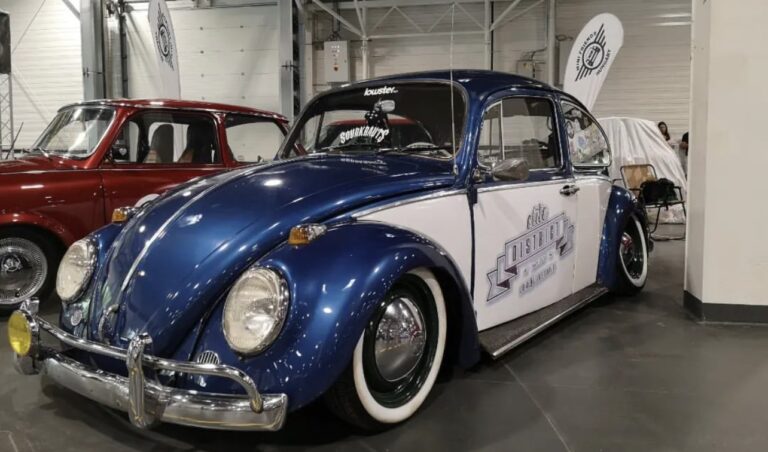 Dávid S' 1965 Beetle