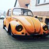 Unknown' Beetle