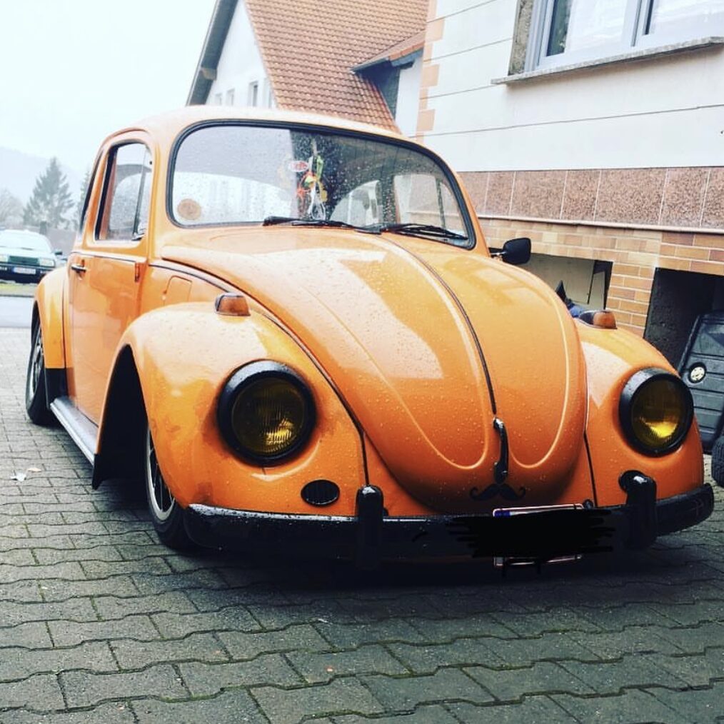 Unknown' Beetle
