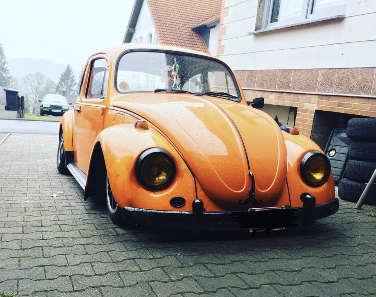 Unknown' Beetle