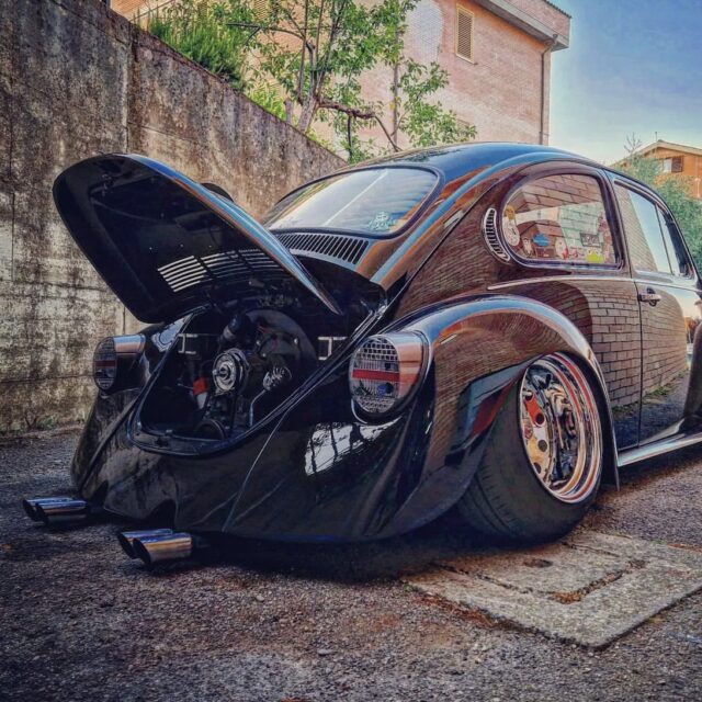Matteo B' Beetle