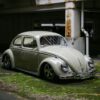 Kazuyoshi' Beetle