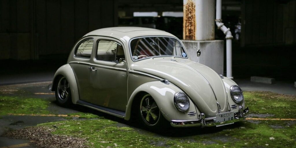 Kazuyoshi' Beetle