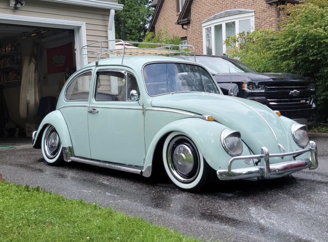 Brandon P' Beetle