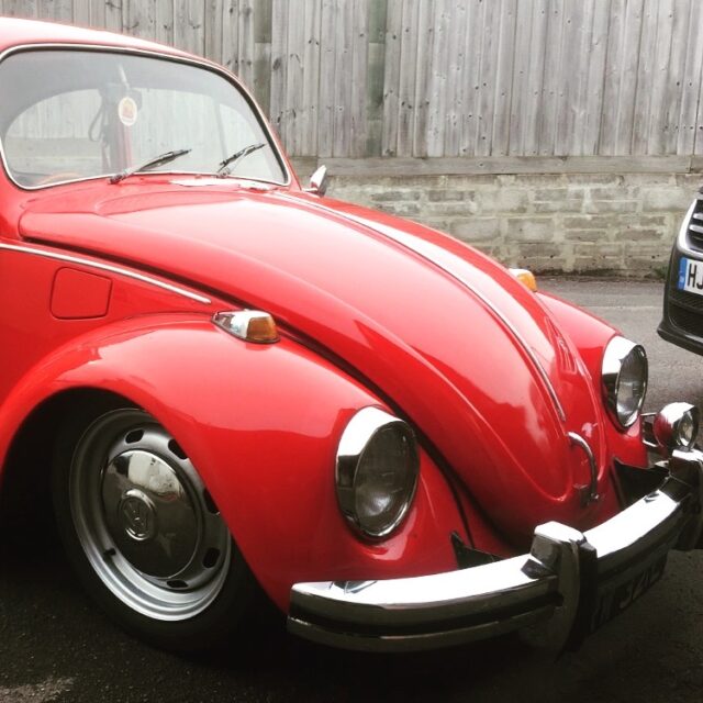 Russell C' Beetle