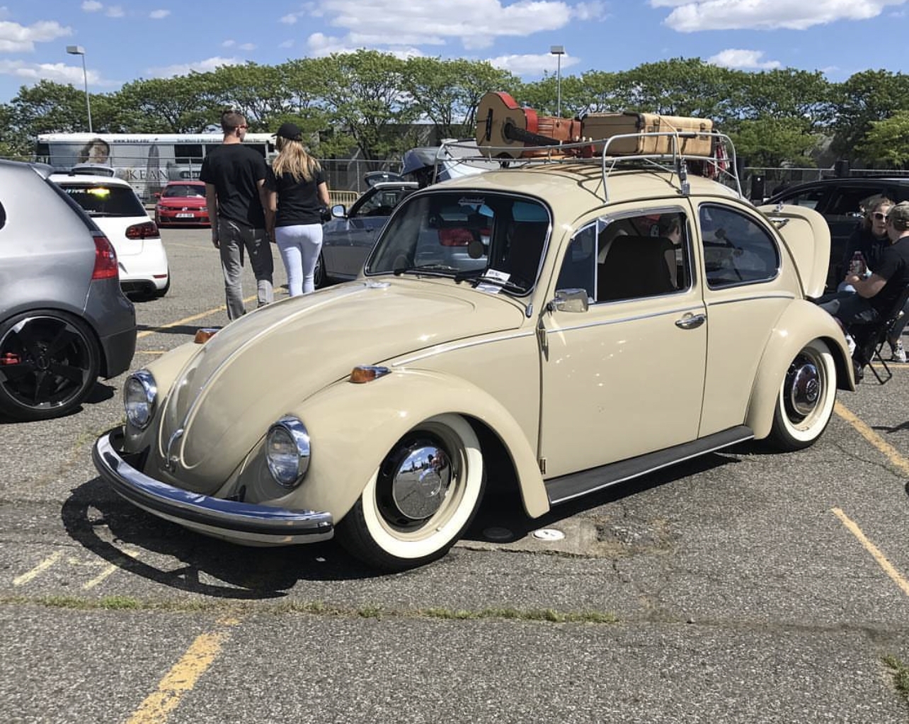 James B' Beetle
