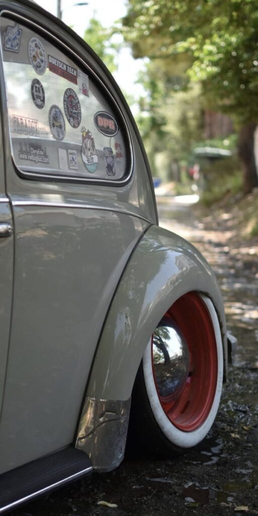 Unknown' Beetle