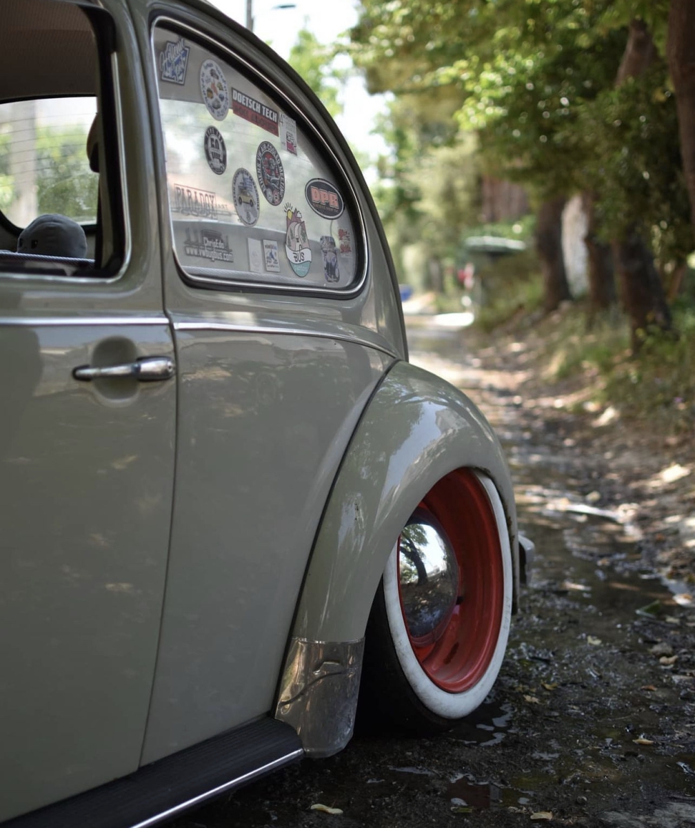 Unknown' Beetle
