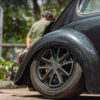 Shaun P' Beetle