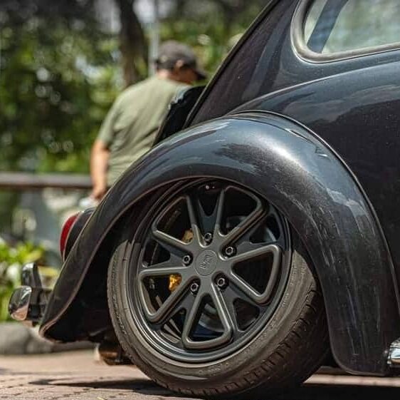 Shaun P' Beetle