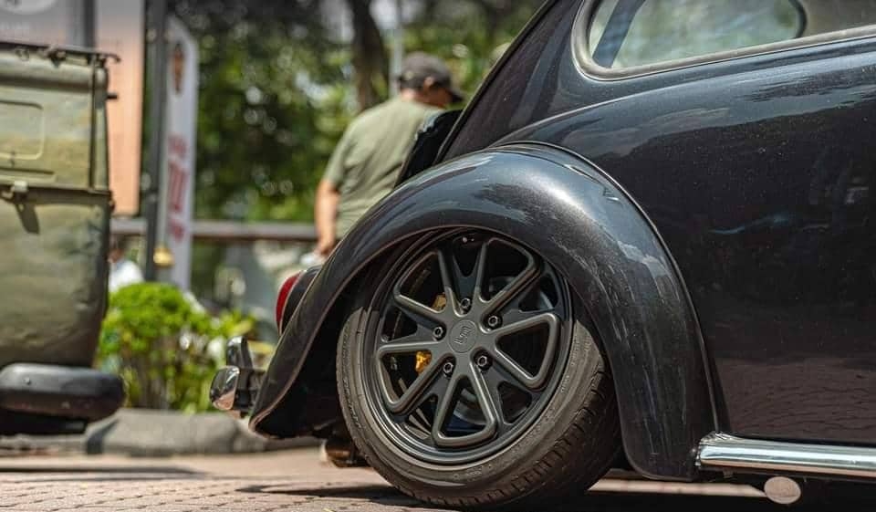 Shaun P' Beetle
