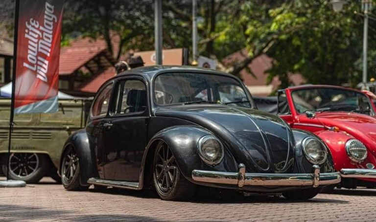 Shaun P' Beetle