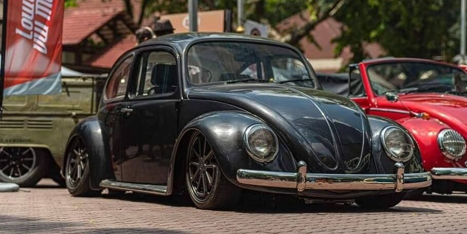 Shaun P' Beetle