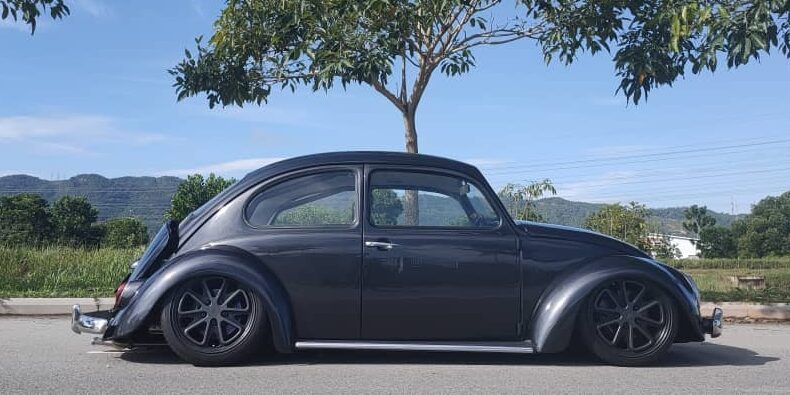 Shaun P' Beetle