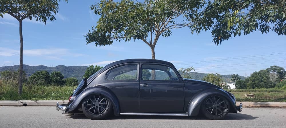 Shaun P' Beetle