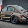 Unknown' Beetle