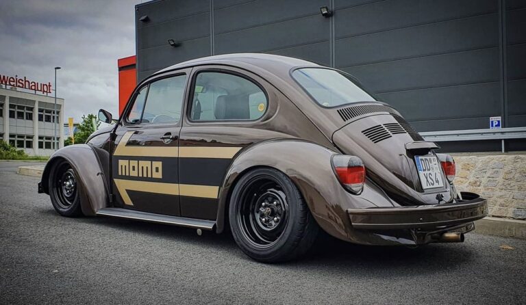 Unknown' Beetle