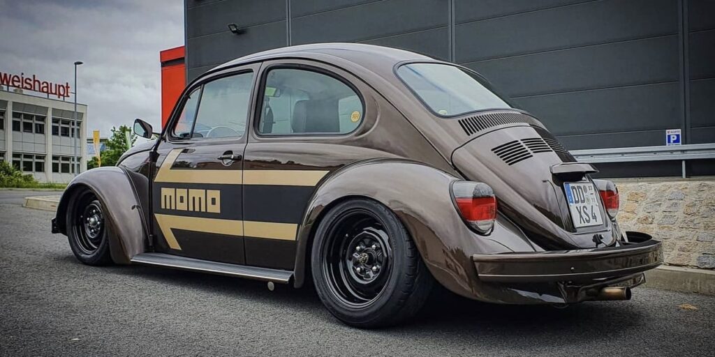 Unknown' Beetle