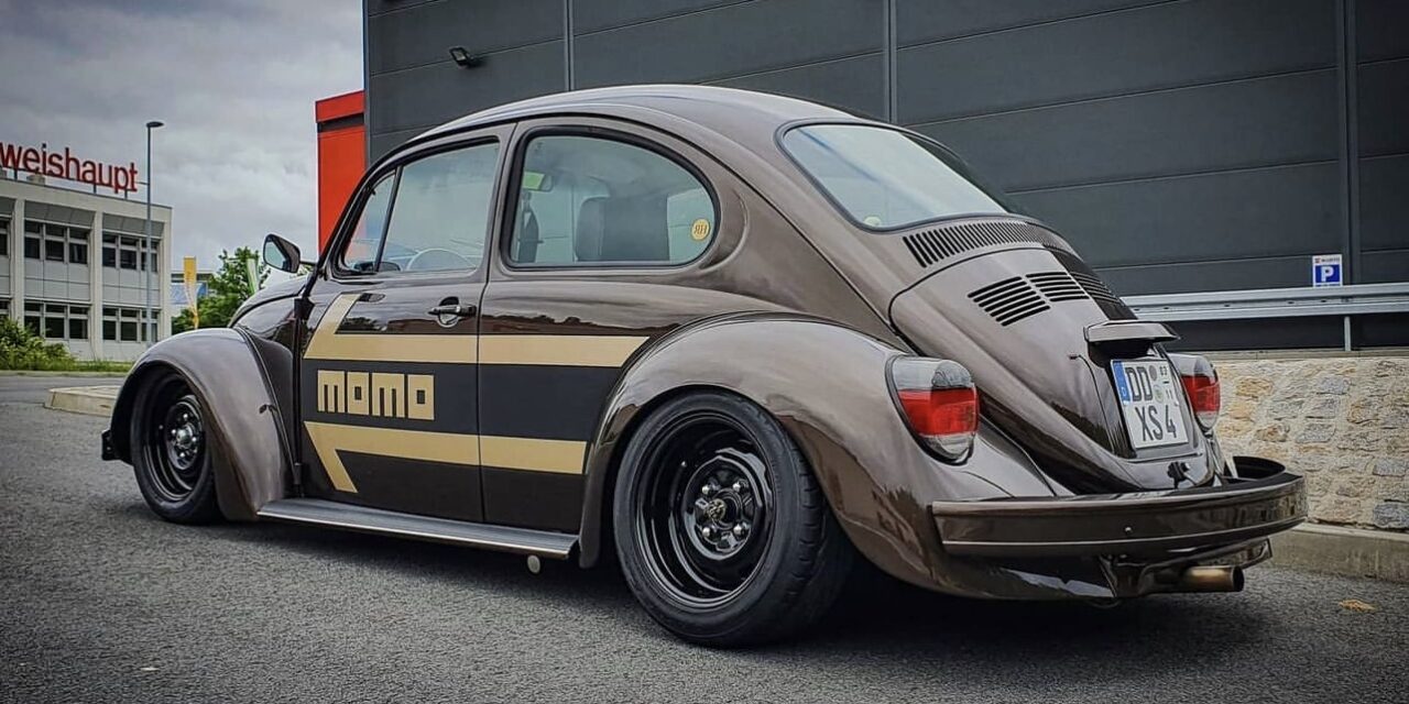 Unknown' Beetle