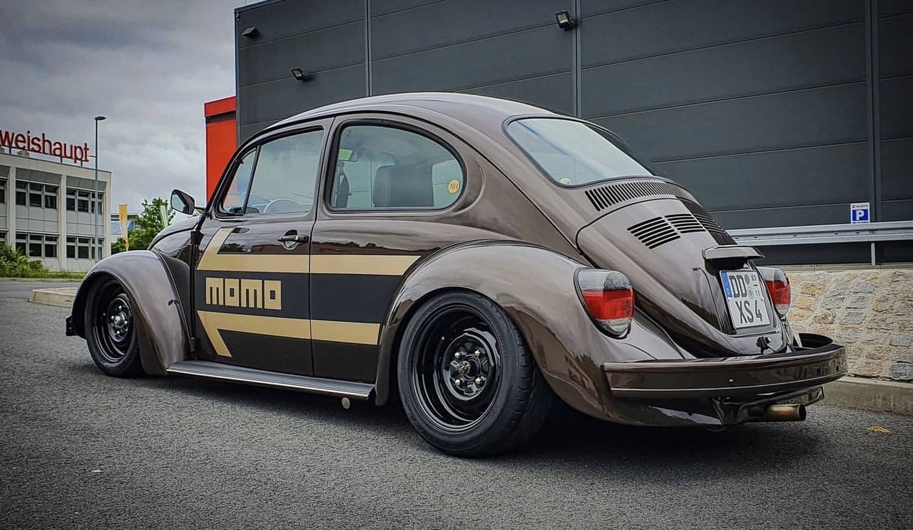Unknown' Beetle
