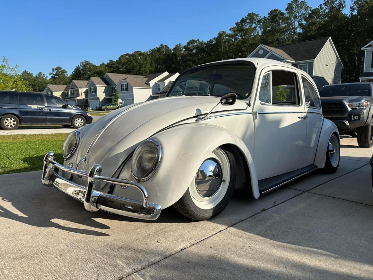 Clayton A' Beetle