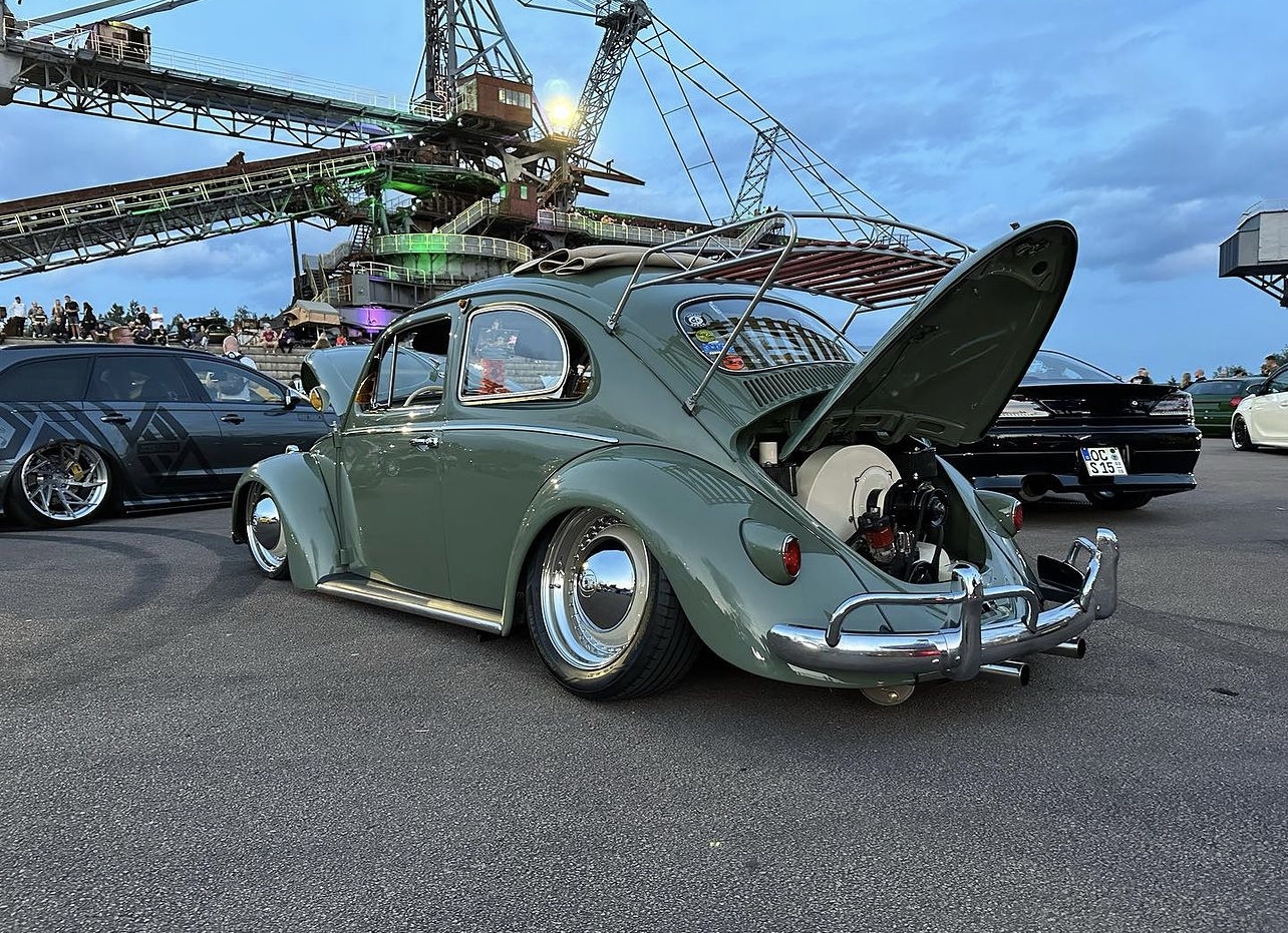 Oliver J' Beetle