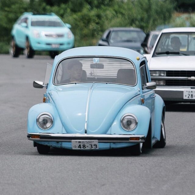 Yüji' Beetle
