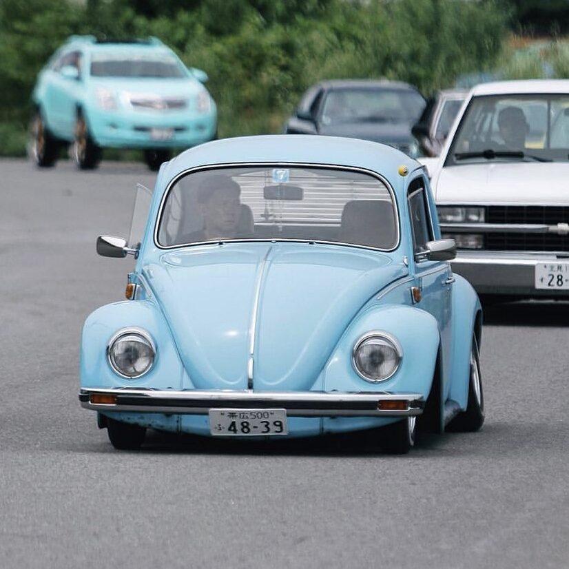 Yüji' Beetle