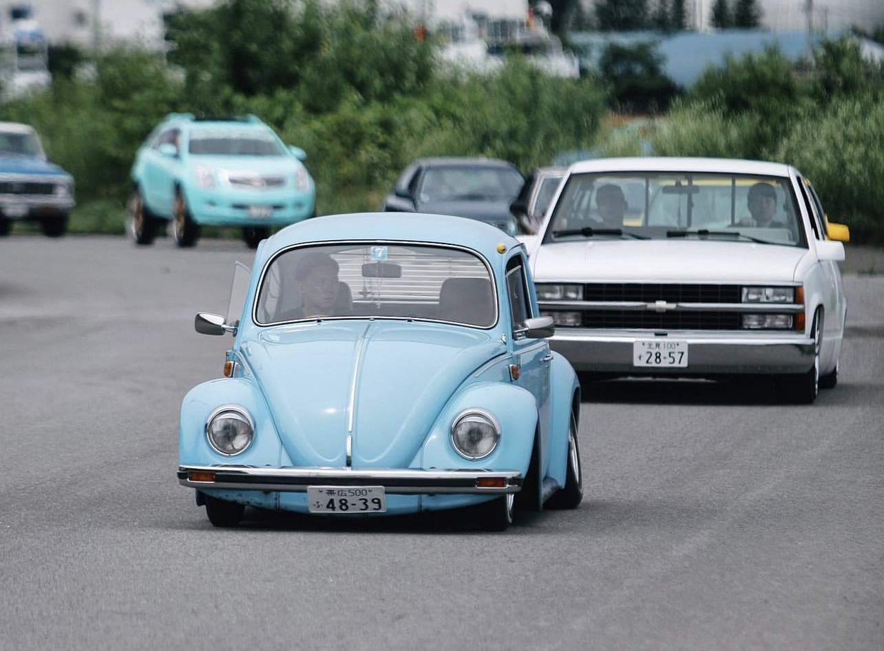 Yüji' Beetle