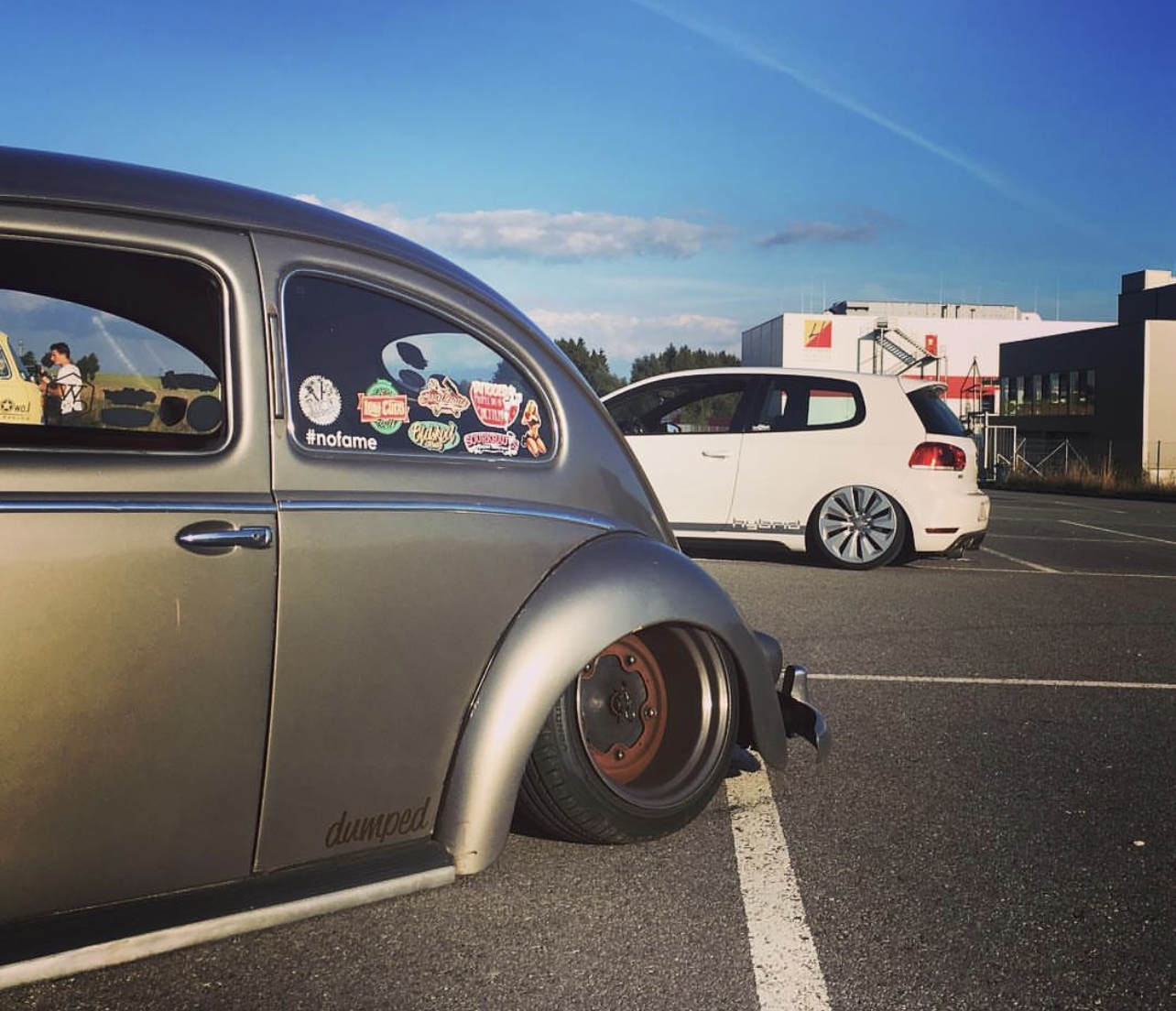 Moe' Beetle