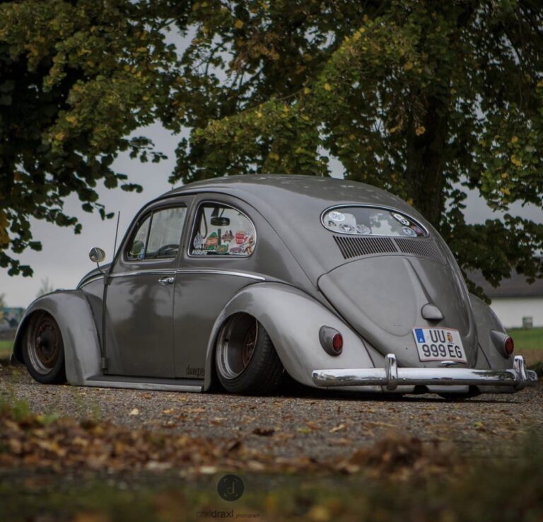 Moe' Beetle