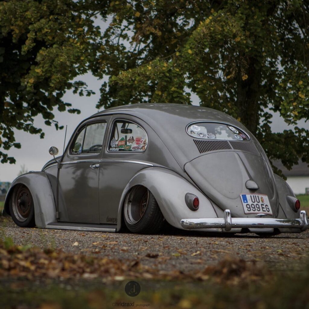 Moe' Beetle