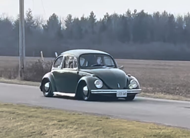 Jodie S' Beetle