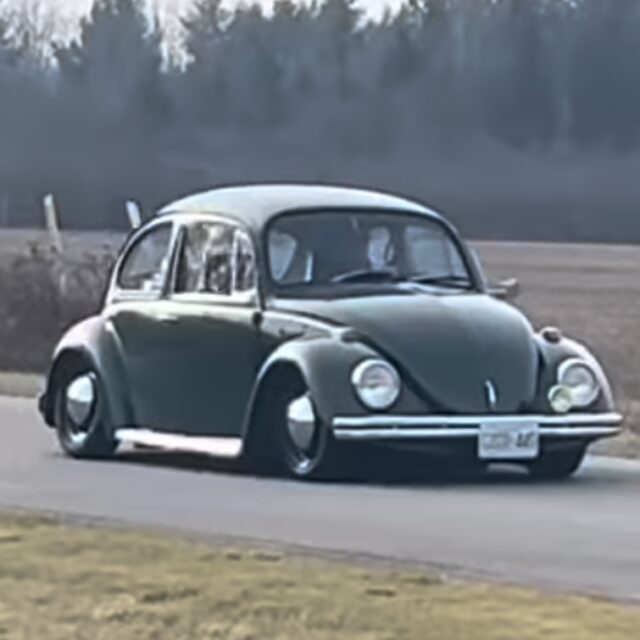 Jodie S' Beetle