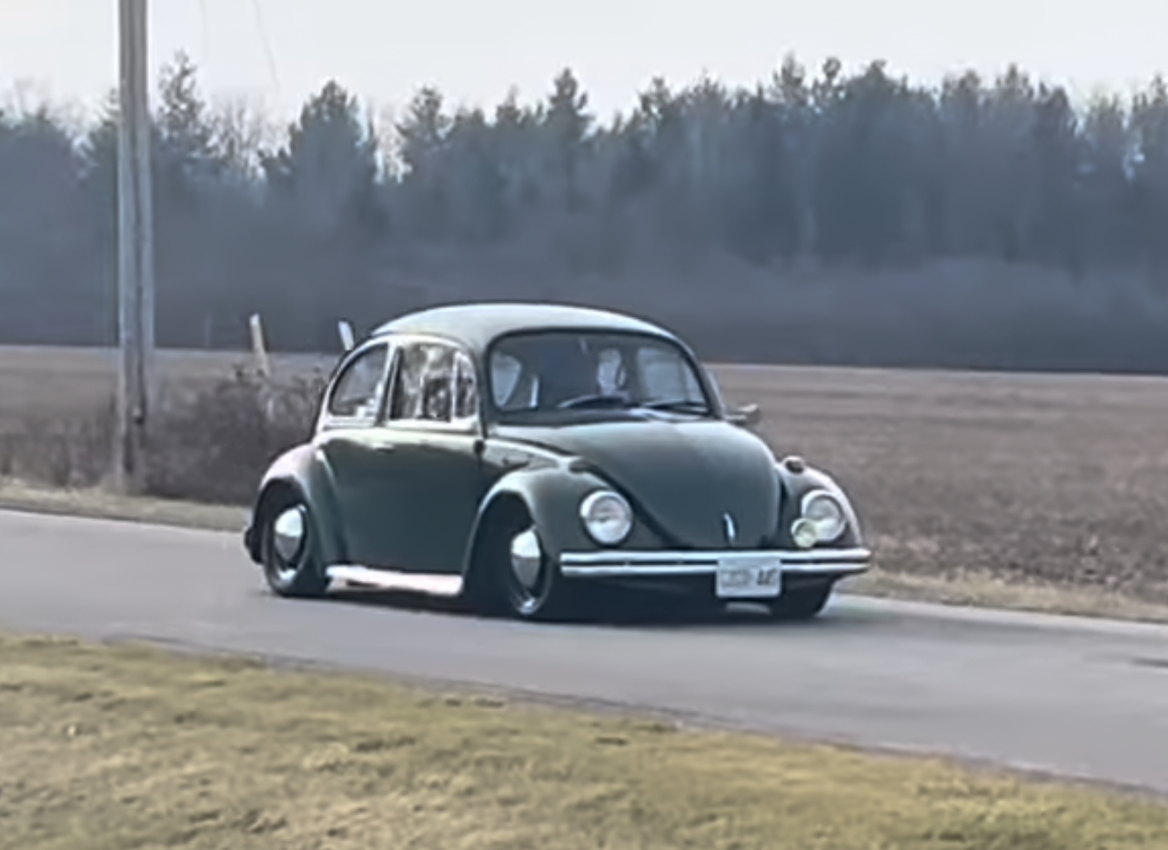 Jodie S' Beetle