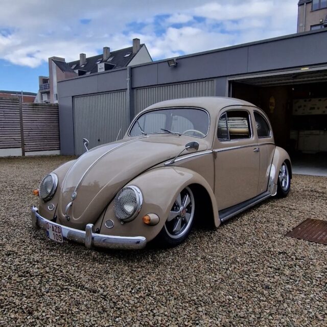 Kim C' 1955 Beetle