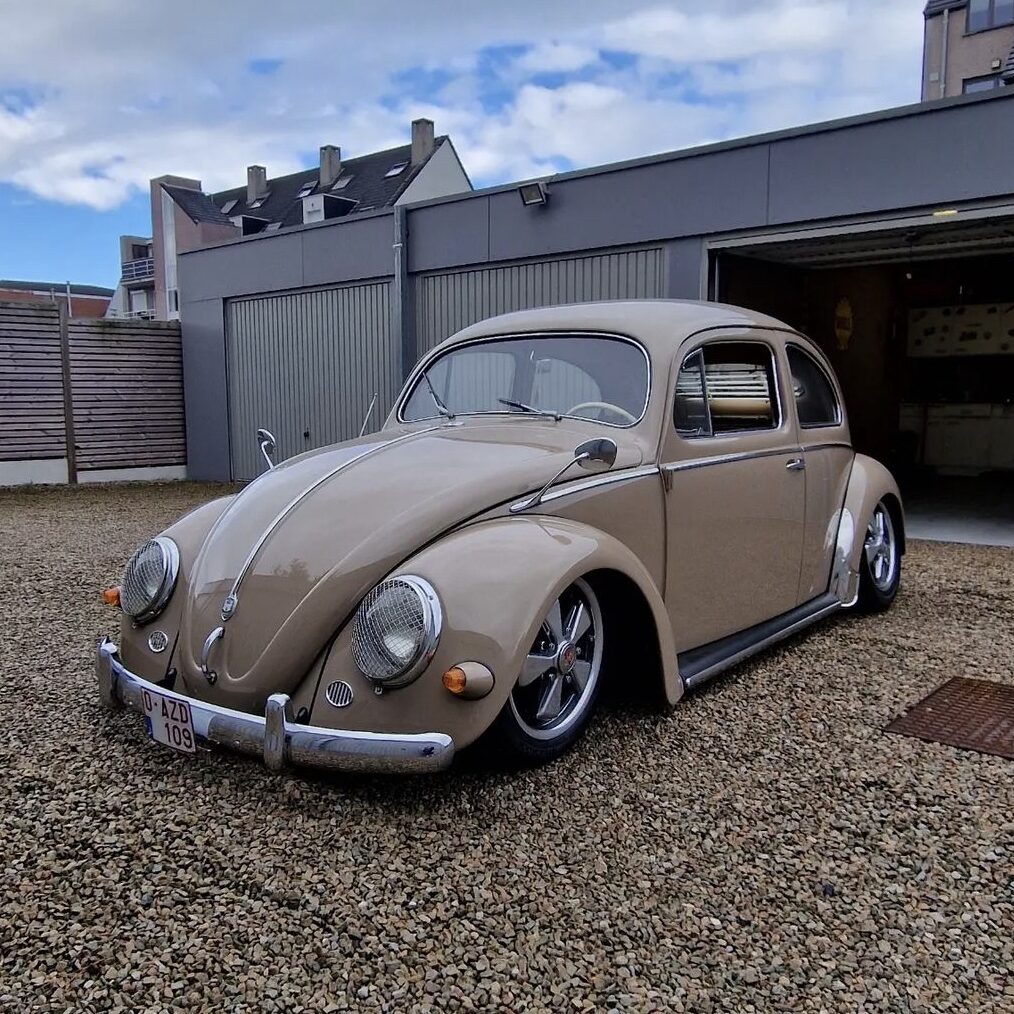 Kim C' 1955 Beetle