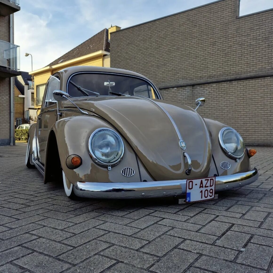 Kim C' 1955 Beetle