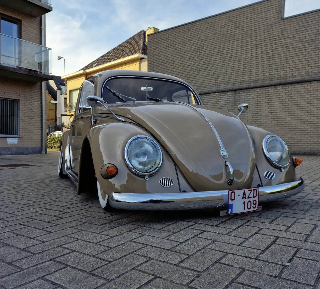 Kim C' 1955 Beetle