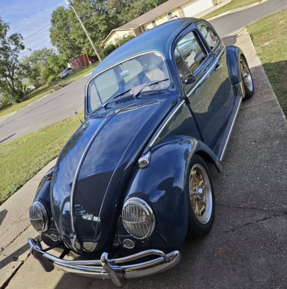 Joe F' Beetle